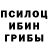 Галлюциногенные грибы Psilocybe Addy Withertorn
