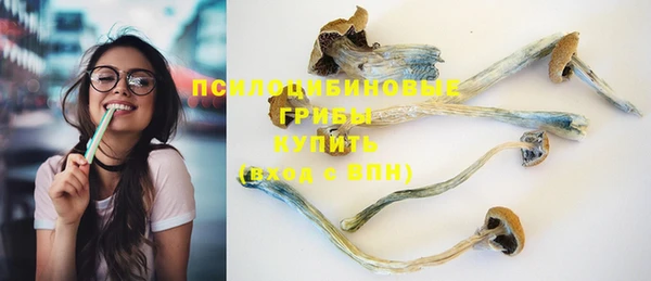 стафф Алексин