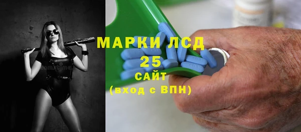 PSILOCYBIN Алзамай