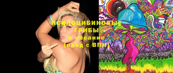 PSILOCYBIN Алзамай