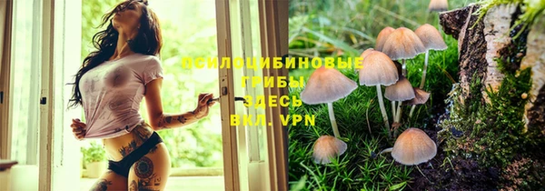 PSILOCYBIN Алзамай