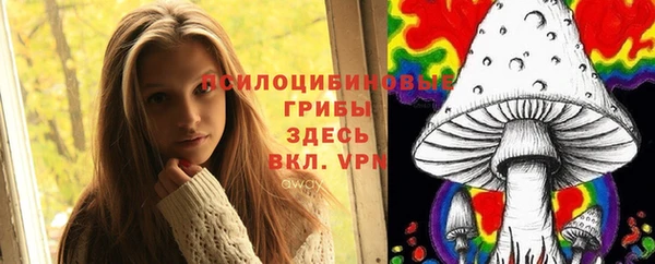 стафф Алексин