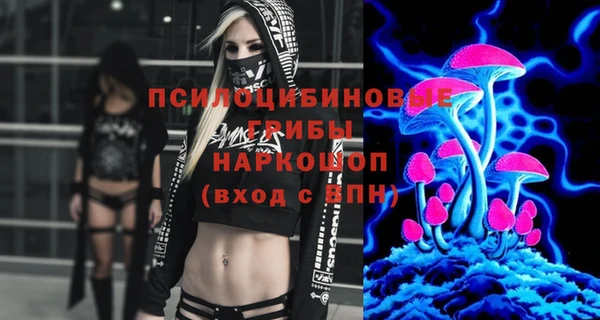 стафф Алексин