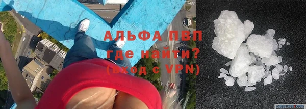 стафф Алексин