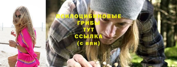 стафф Алексин