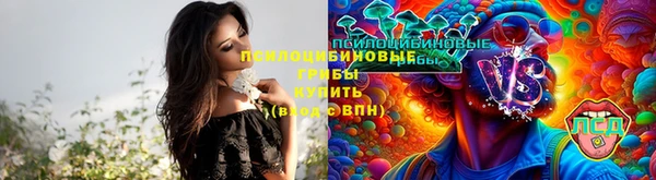 тгк Алексеевка