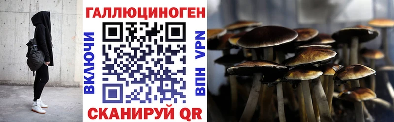 Псилоцибиновые грибы GOLDEN TEACHER  Бокситогорск 